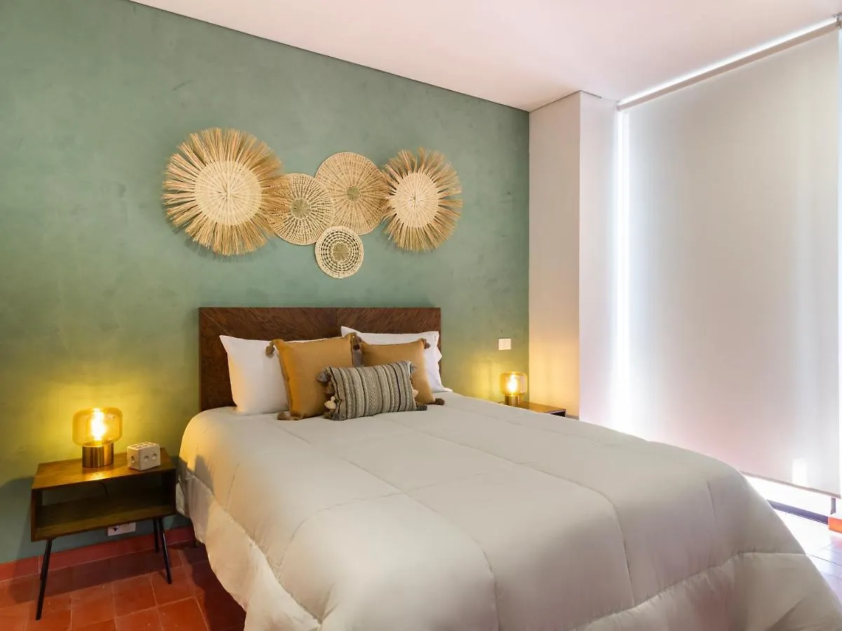 Tribu Chapultepec 67 Apartment Guadalajara Mexico
